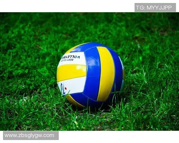 从零基础到高手：全面掌握排球比赛的技巧与策略指南