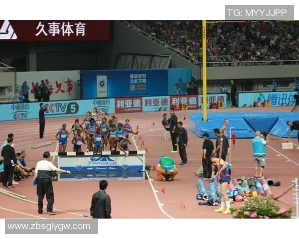 成都排球队在钻石联赛中的逆袭之旅展现团队精神与不屈意志